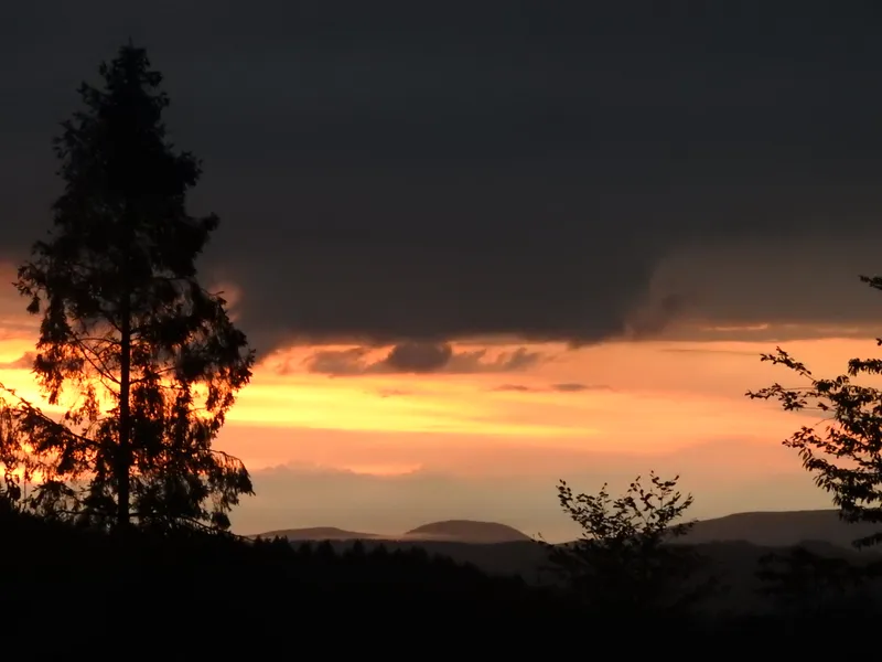 Fotografia z revíru