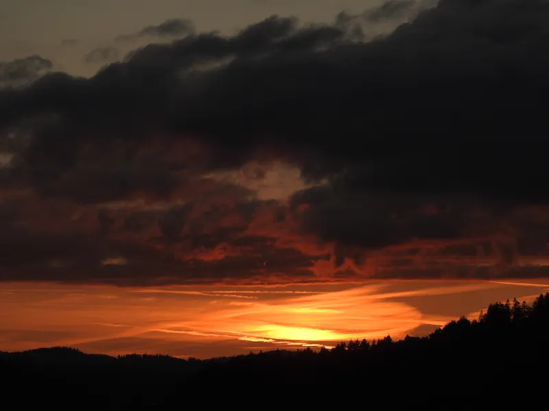 Fotografia z revíru