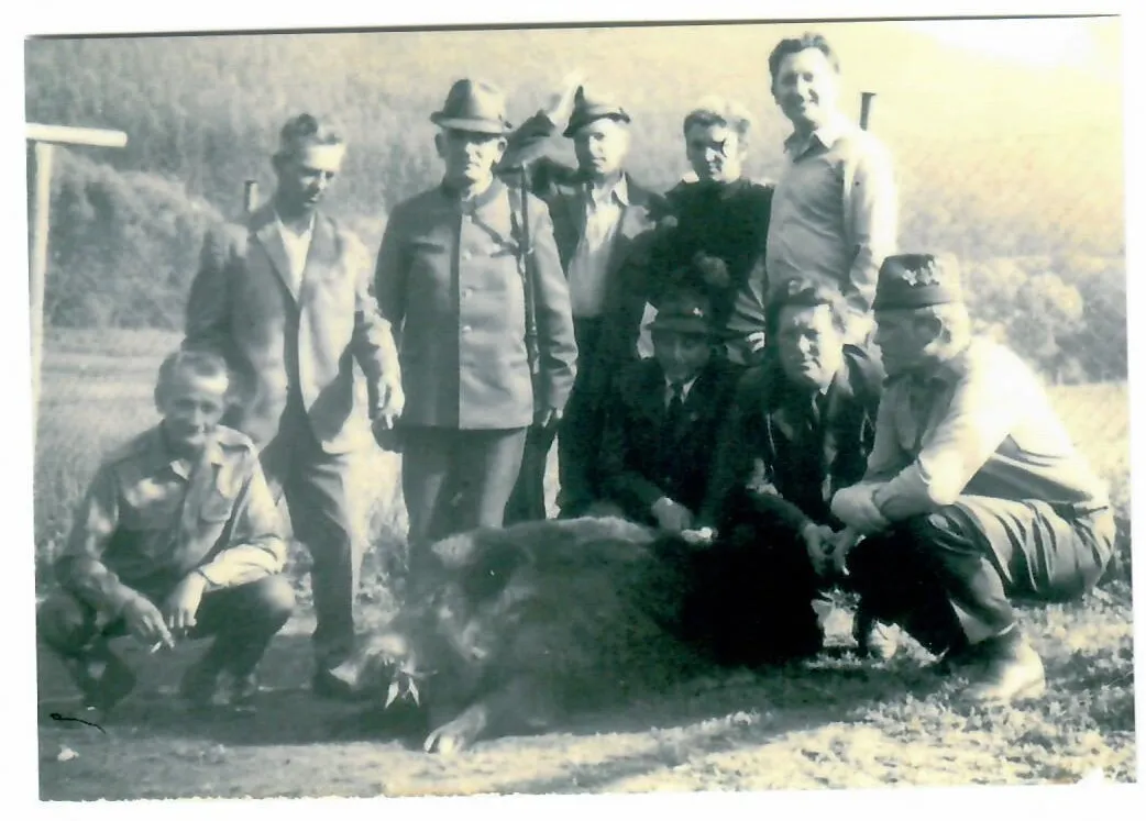 Prvý ulovený diviak